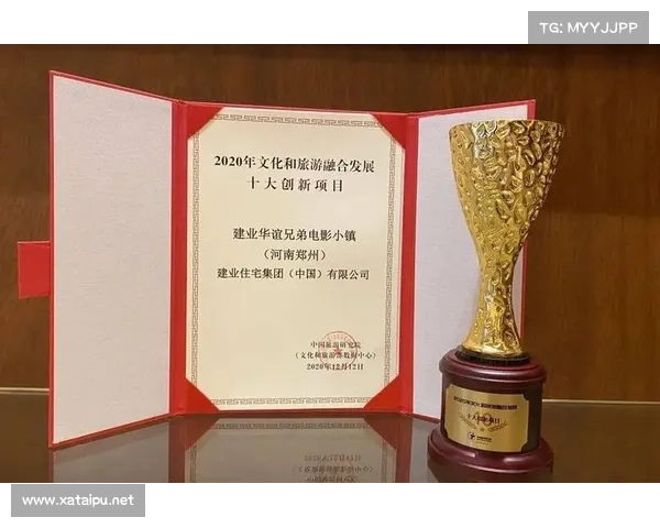 建业足球俱乐部性质深度解析：五大关键点全方位剖析其运营模式与发展方向